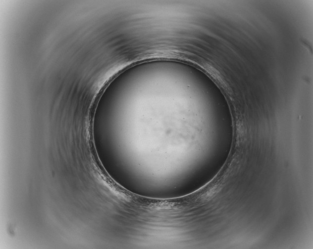 X0000102040846200807251413