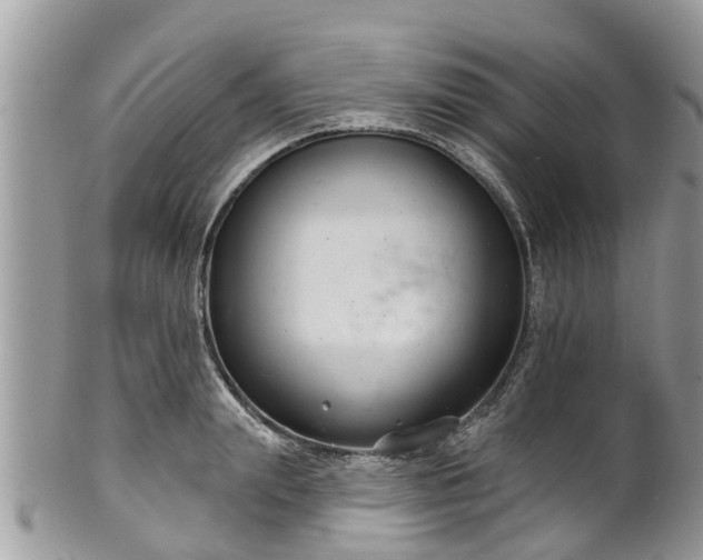 X0000102040847200807251413