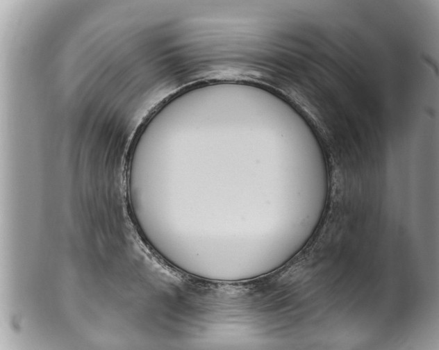 X0000102040848200807251413