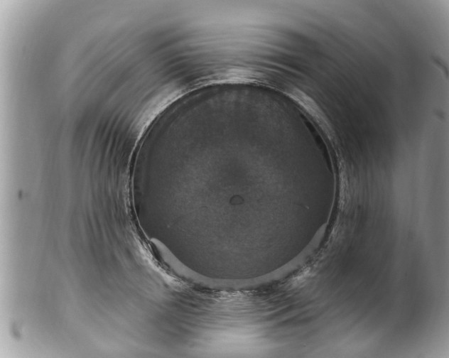 X0000102040850200807251413