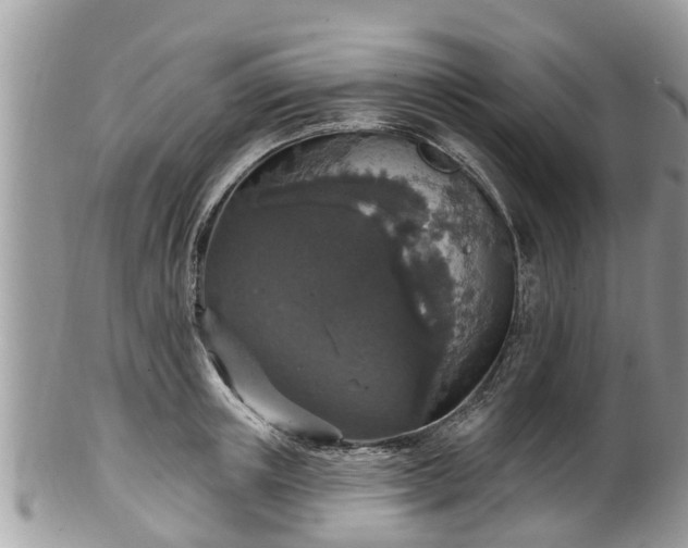 X0000102040851200807251413