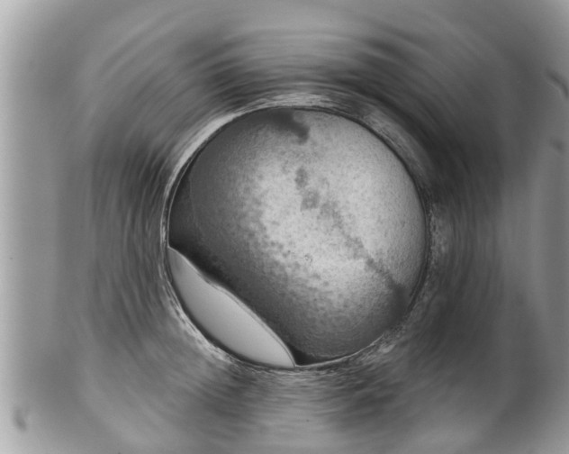 X0000102040852200807251413