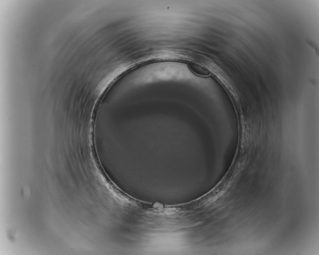 X0000102040853200807251413