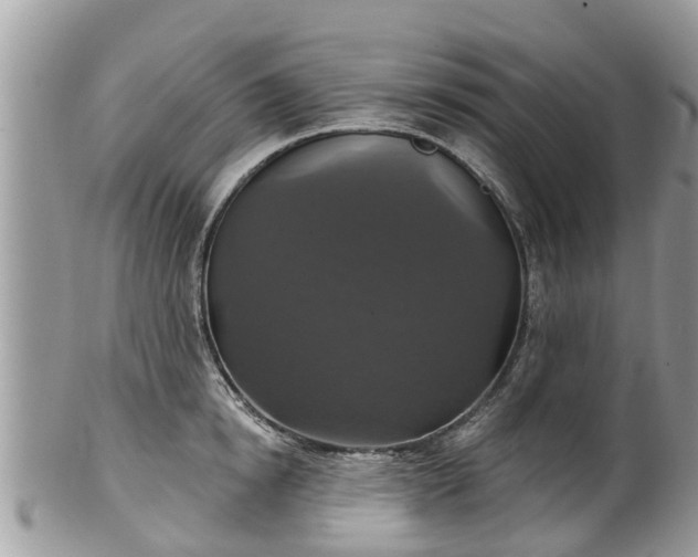 X0000102040854200807251413