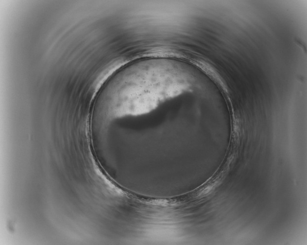 X0000102040855200807251413