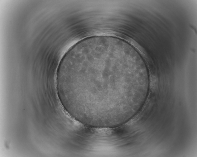 X0000102040856200807251413