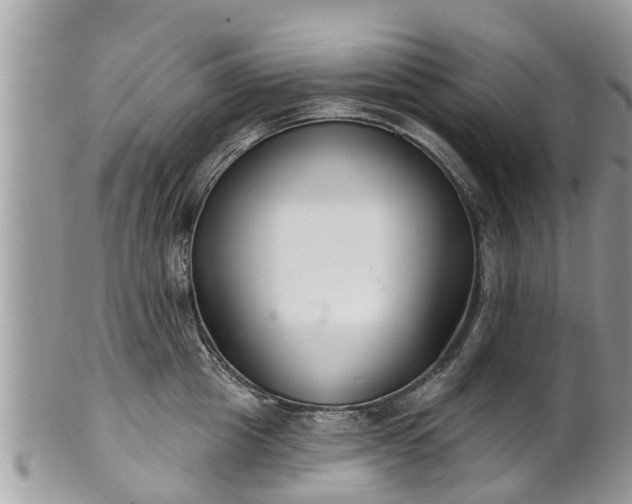 X0000102040857200807251413