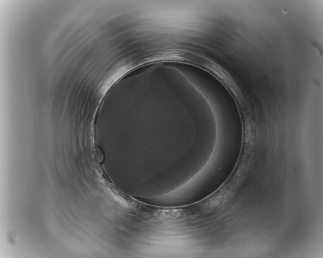 X0000102040858200807251413