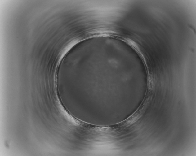 X0000102040859200807251413