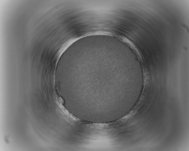 X0000102040860200807251413