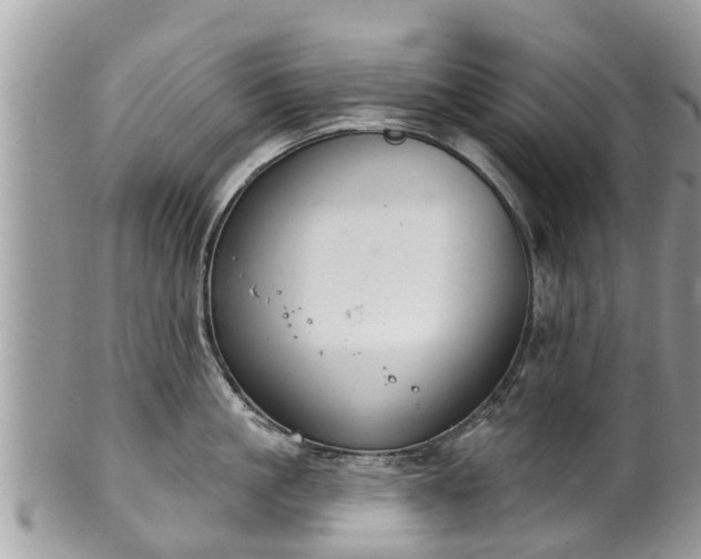 X0000102040861200807251413