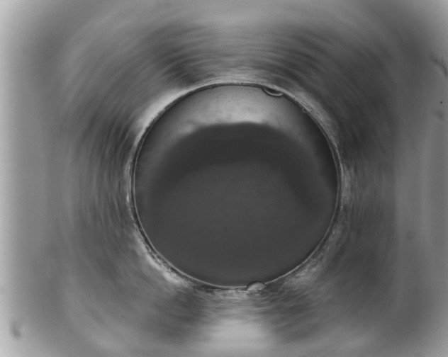 X0000102040862200807251413