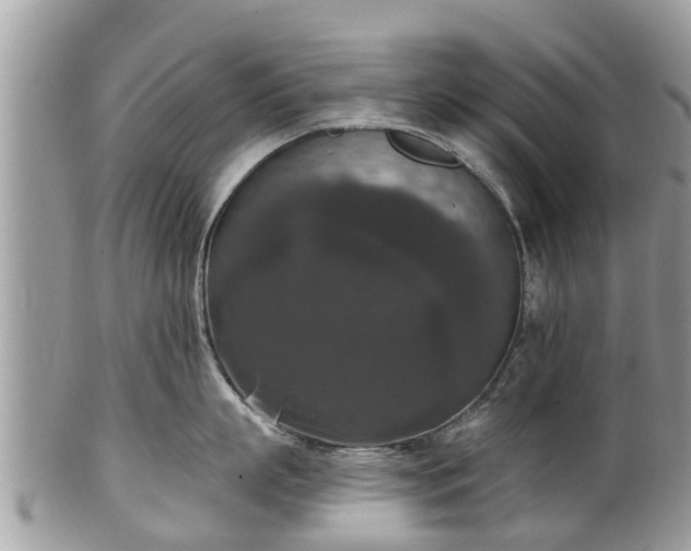 X0000102040863200807251413