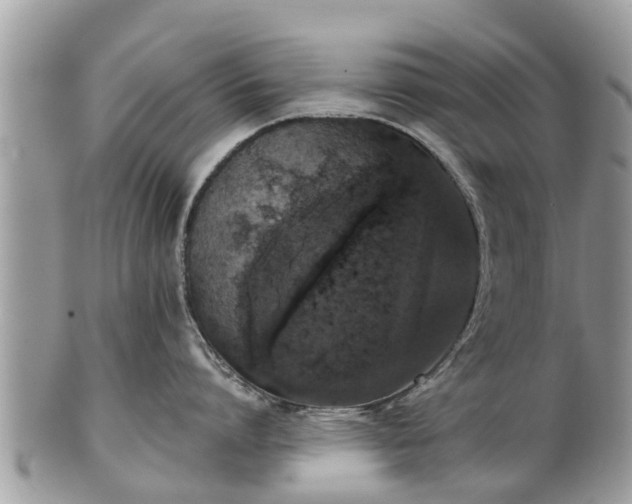 X0000102040864200807251413