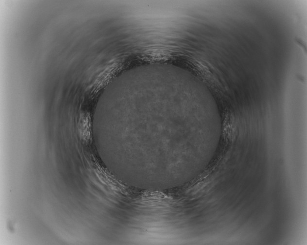 X0000102040866200807251412