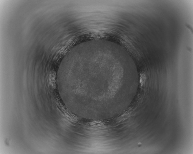 X0000102040867200807251412