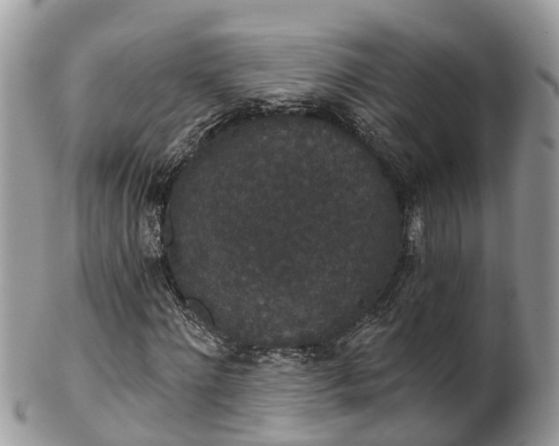 X0000102040868200807251412