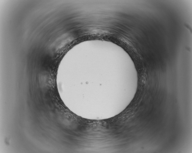 X0000102040869200807251412