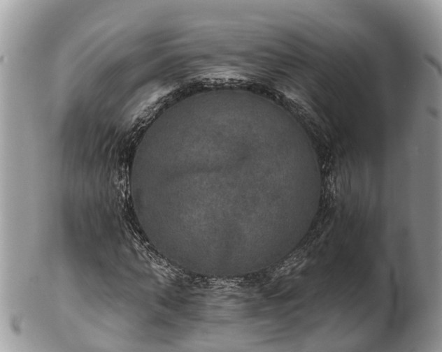 X0000102040870200807251412