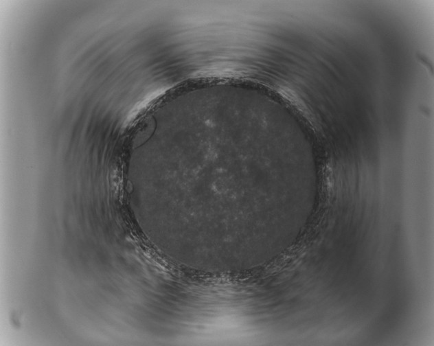 X0000102040872200807251412