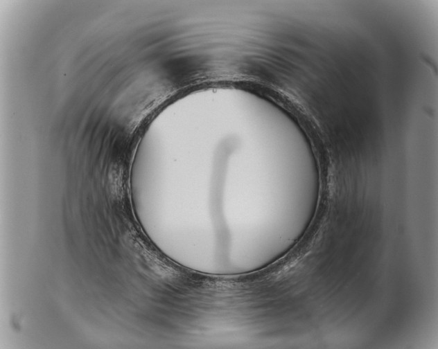 X0000102040873200807251412