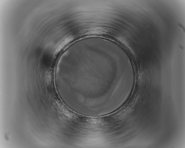 X0000102040874200807251412