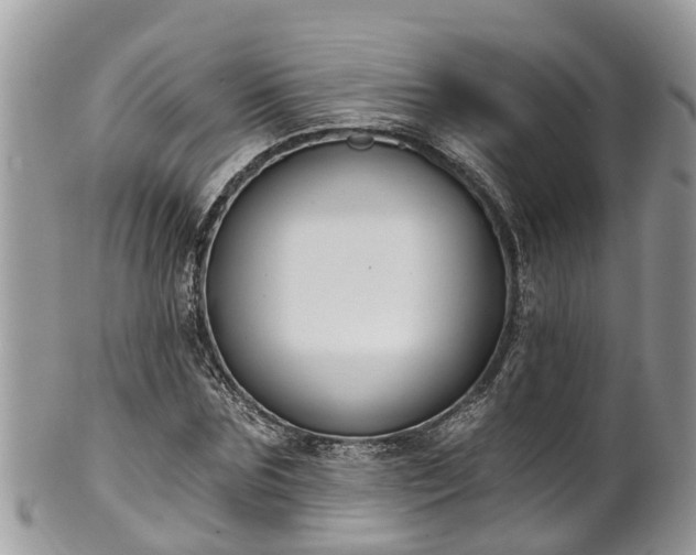 X0000102040875200807251412