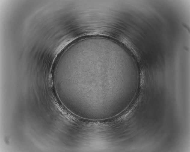 X0000102040876200807251412