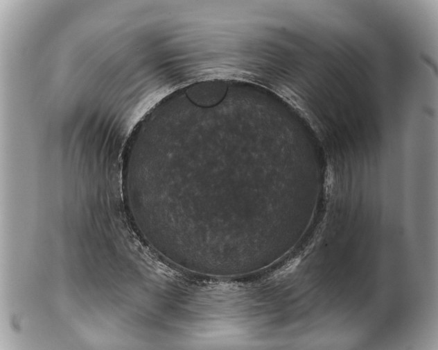 X0000102040877200807251412