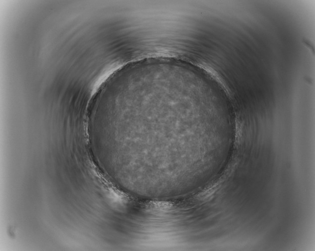 X0000102040878200807251412