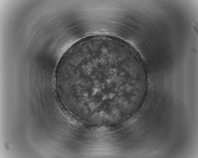 X0000102040879200807251412