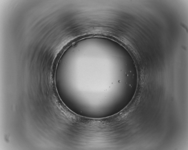 X0000102040880200807251412