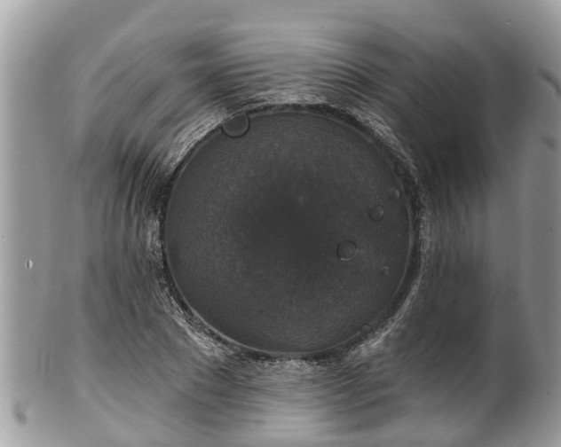 X0000102040881200807251412