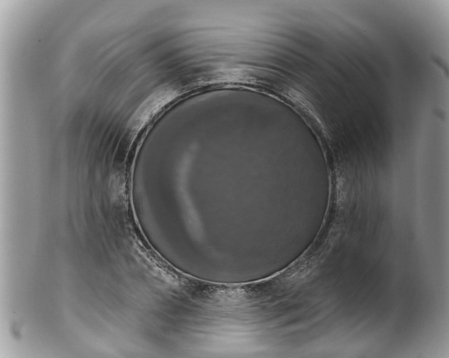 X0000102040882200807251412