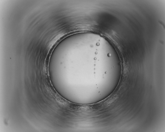 X0000102040883200807251412