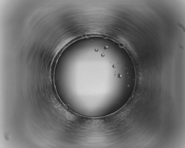 X0000102040884200807251412