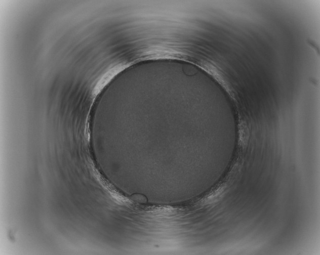 X0000102040885200807251412