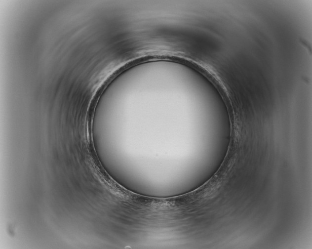 X0000102040887200807251412