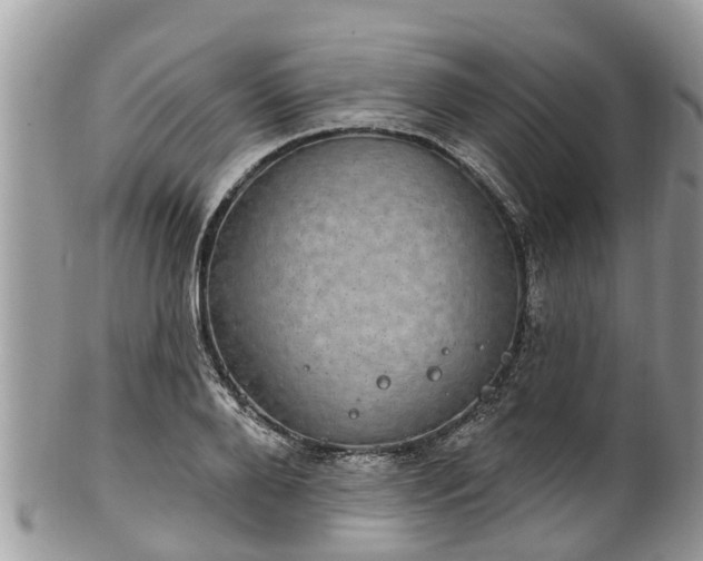 X0000102040888200807251412