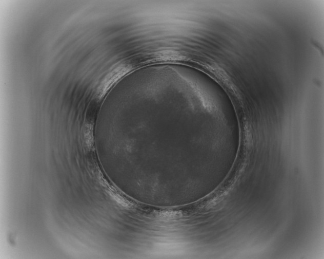 X0000102040889200807251412