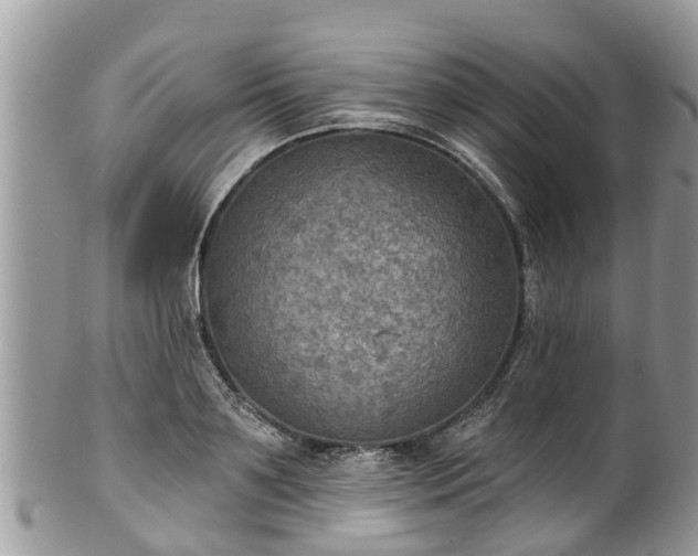 X0000102040891200807251412