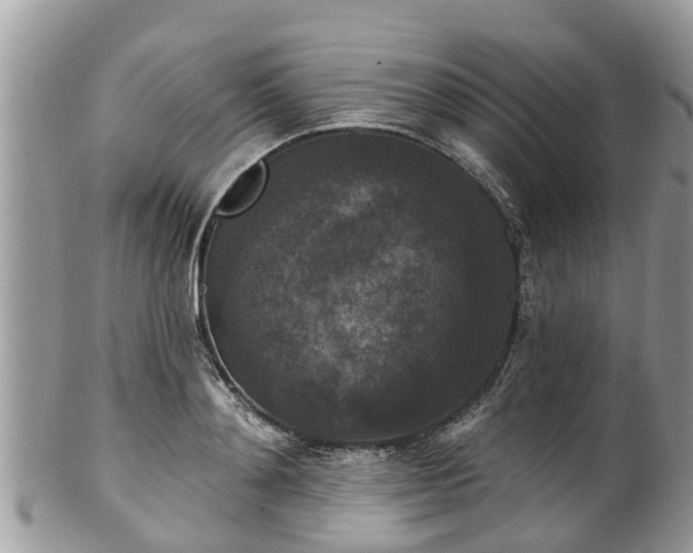 X0000102040892200807251412