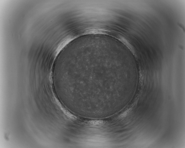 X0000102040893200807251412