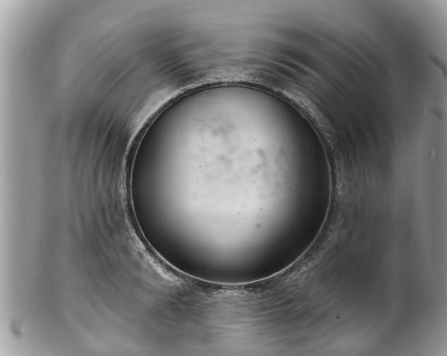 X0000102040894200807251412