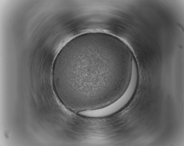 X0000102040895200807251412