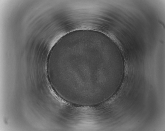 X0000102040896200807251411