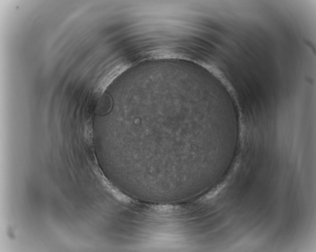 X0000102040897200807251411