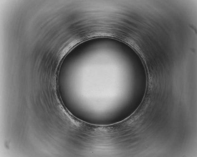 X0000102040898200807251411