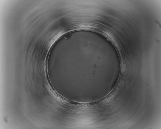 X0000102040899200807251411