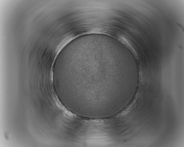 X0000102040900200807251411